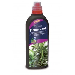 Concime CE piante verdi 1kg