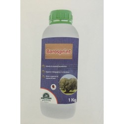 Cocime liquido borosprint 1kg