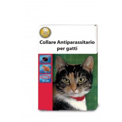 Collare gatto collare...